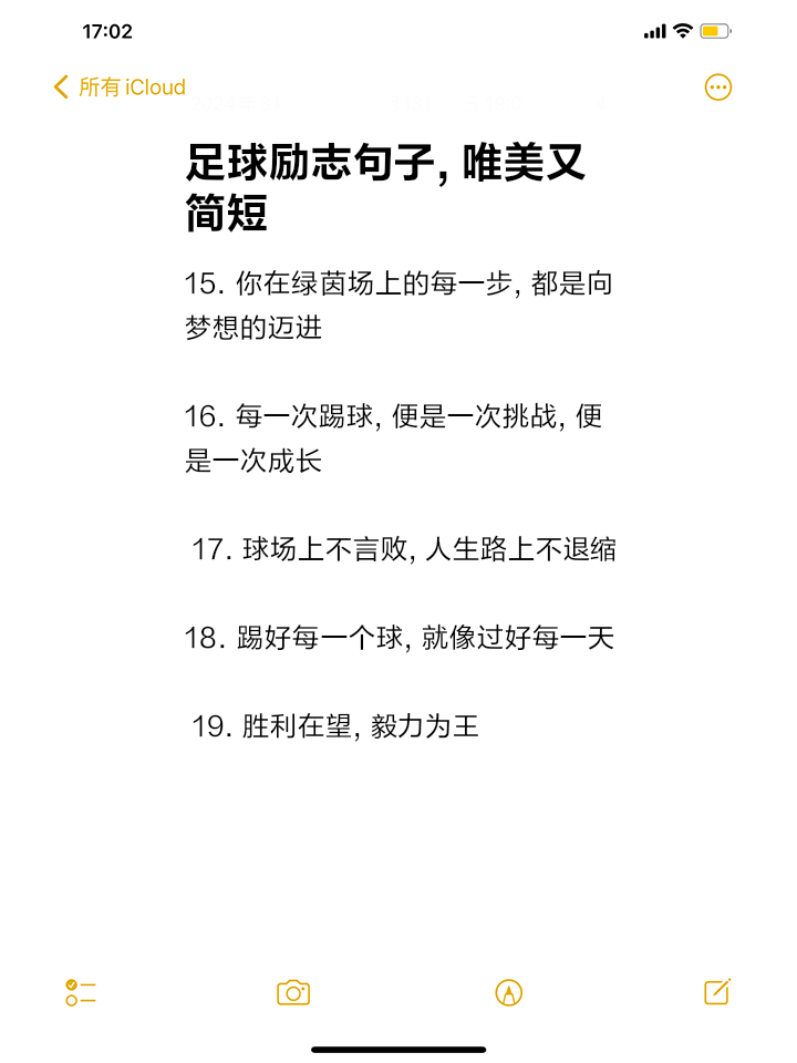 用汗水和努力铸就胜利的喜悦，足球是一种信念的简单介绍